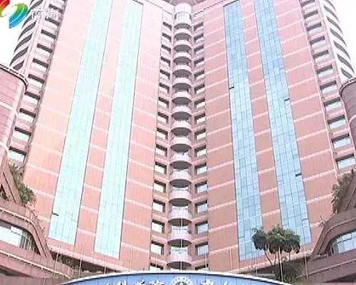 南宁找人代怀,做海外试管婴儿取卵前后、移植前后注意事项-什么时候可以做试