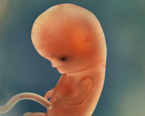 -iphone7解析音乐_供卵哪家最好-代怀q群_试管代孕权威医院_代怀公司-双胞胎代孕