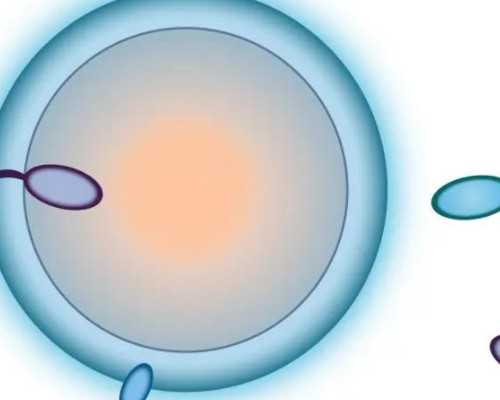 伤口疼、恶露排不尽、易发胖……产后恢复怎么就这么难？