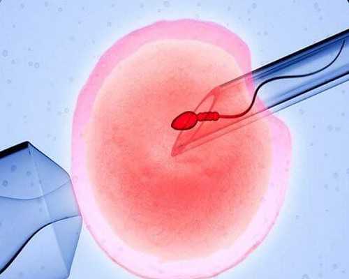 你知道什么是备孕吗 备孕吃什么好