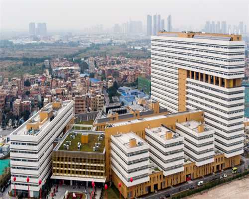 _香港验血查男女价格_有多少家代孕公司