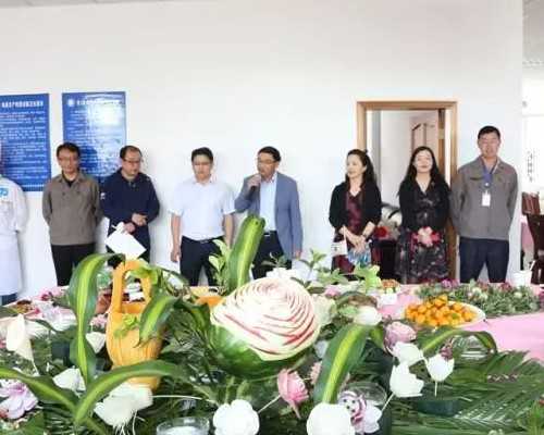 南宁代怀价格多少|三亚第三代试管南宁-试管三代医院