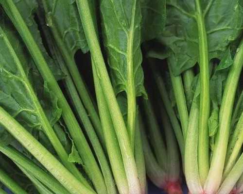 广西助孕生孩子 广西壮族自治区妇幼保健院 ‘唐筛数据看男女准吗’