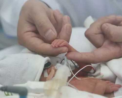 广州一商业机构为男性提供代孕服务被查：最低60万，可与客户共同生活-胚胎移