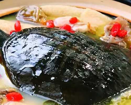 南宁酒家大厨黎家信，人称信哥年初，信哥回到老家开了一个大型养殖