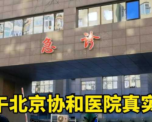 剪对称鱼形教案？鱼的形态怎么写