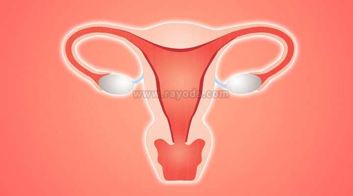 代孕中心供卵_试管供卵会不会排异_子宫内膜薄做试管婴儿移植前做宫腔灌注的